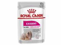 12 x 85 g Royal Canin CCN Exigent Wet Mousse Hundenassfutter