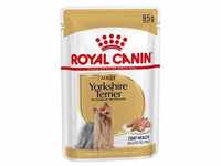 12 x 85g Yorkshire Terrier Royal Canin Mousse Hundefutter nass