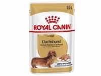 12 x 85g Dachshund Royal Canin Hundefutter nass