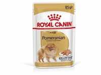 12x85g Royal Canin Breed Pomaranian Adult Mousse Hundefutter nass