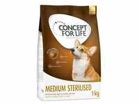 4x1kg Medium Sterilised Concept for Life Hundefutter trocken
