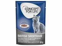 24x85 g British Shorthair Adult Ragout-Qualität Concept for Life Katzenfutter...