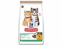 1,5 kg Hill's Science Plan Kitten No Grain mit Huhn Katzentrockenfutter