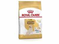 12 kg Royal Canin Breed Labrador Retriever Adult 5+ Trockenfutter Hund