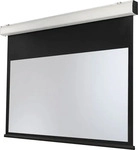 Celexon Beamer-Leinwand Motor Expert XL, 203 Zoll, 450 x 253 cm, Format 16:9,