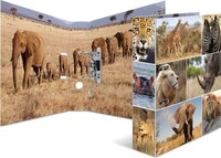 Herma Ordner 7168 Animals, Karton, A4, 7cm, Motiv Afrika Tiere Herma Ordner 7168 Animals, Karton, A4, 7cm, Motiv Afrika Tiere
