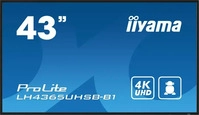Iiyama Digital-Signage ProLite LH4365UHSB-B1, 42,5 Zoll, 4K UHD 3840 x 2160, 800