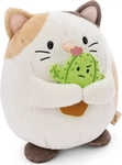 NICI Kuscheltier mymochi 61147, Katze Angy mit Kaktus in Geschenkbox, ab 1 Jahr, 16