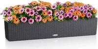 Lechuza BALCONERA Cottage 100 Blumenkasten, granit, 99 x 19 x 19cm, aus Kunststoff,