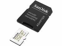 SanDisk Micro-SD-Karte Max Endurance, 256GB, bis 100 MB/s, UHS-I U3, SDXC