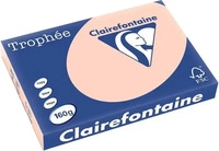 Clairefontaine Kopierpapier Troph&eacute;e 1031RC, A3, 160g/qm, lachsfarben, 250 Blatt