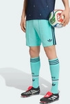 Adidas JN2075-0001, Adidas Deutschland 26 Ausw&auml;rtsshorts Flash Aqua M&auml;nner