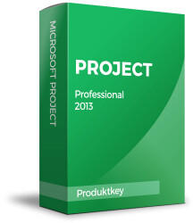 Microsoft Project Professional 2013 (Multi) (Win) (ESD)
