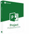 Microsoft Project 2019 Professional