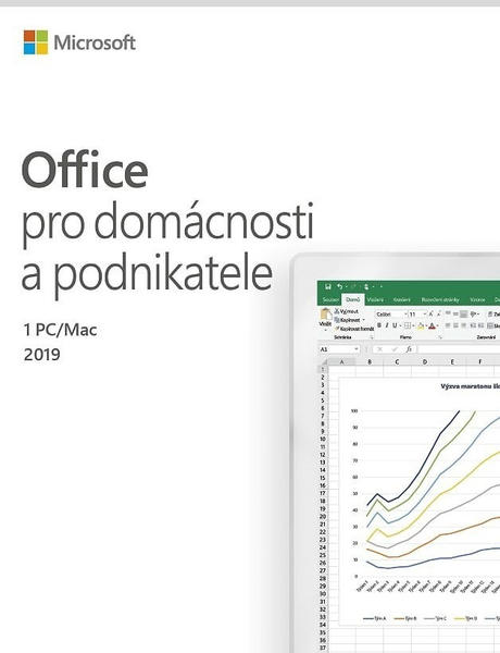 Microsoft Office 2019 Home & Business (EN) (PKC)