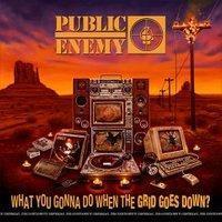 Public Enemy What you gonna do when the grid goes down - Musik
