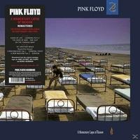 I-DI Pink Floyd A Momentary Lapse Of reason LP Standard