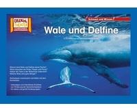 Kamishibai: Wale und Delfine