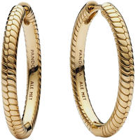 Pandora 269532C00 Damen Charm-Ohrringe Creolen Goldfarben