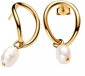 Pandora Ohrringe (263281C01) gelbgold
