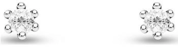 FAVS Ohrstecker (88430026)