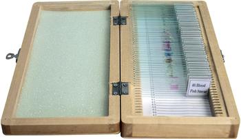 Omegon Dauerpräparate Set 40 Stück in Holzbox