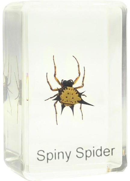 Omegon Spiny Spider