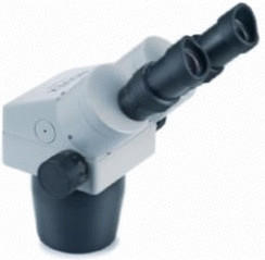 Novex Binokularer Zoom-Stereomikroskop-Kopf RZB