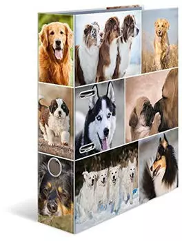 Herma Motivordner A4 Hunde (7165)