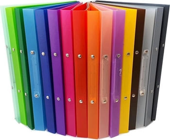 Brunnen 16 x Ringbuch Fact! A4 16mm 2 Ringe 1065516 farbig sortiert