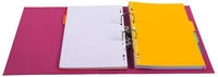 Exacompta 53747E 10x Ordner aus PVC mit 2 Ringen, R&uuml;cken 70mm, 32x29cm f&uuml;r...