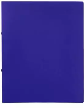 Idena Ringbuch 2-Ring, 20mm, A4, blau (10430)