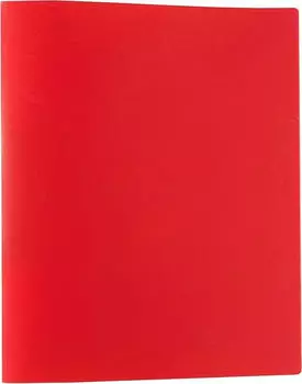 Idena Ringbuch 2-Ring, 20mm, A4, rot (10432)