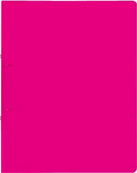Brunnen FACT!pp Ringbuch 2-Ring, 20mm, A4, pink/transparent (106551626)