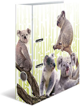 Herma Exotische Tiere A4 70mm Koalafamilie (19952)