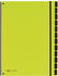 PAGNA Pultordner neutral 12 Fächer lindgrün (24129-17)