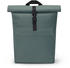 Lotus pine green