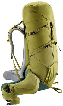 Deuter Aircontact Core 60+10 (2024) cactus/ivy – Aircontact System verlagert Gewicht auf die Hüfte
