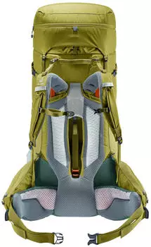 Deuter Aircontact Core 70+10 (2024) cactus/ivy – Deuter Aircontact Core 70+10 (2024) cactus/ivy: Der perfekte Begleiter für Outdoor-Abenteuer