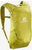Salomon Trailblazer 10