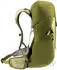 Deuter AC Lite 24 (2024) linden/cactus
