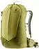 Deuter AC Lite 23 (2024) linden/cactus