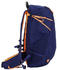 Salewa Mtn Trainer 2 22 Backpack blue depth