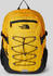 The North Face Borealis Classic (CF9C) summit gold/tnf black/npf