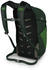 Osprey Daylite Plus green belt/green canopy