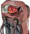 Deuter Voyager 60+10 SL (2024) caspia/raisin