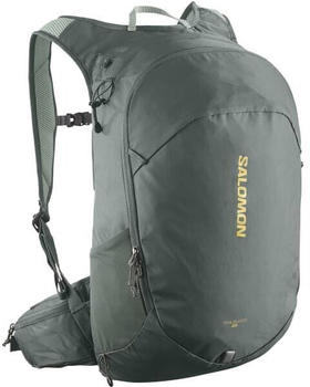 Salomon Trailblazer 20 Walking Backpack urban chic/green milieu