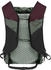 Dynafit Traverse 22 sage/burgundy
