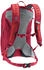 Deuter AC Lite 17 (2025) cherry/masala