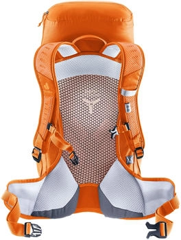 Deuter AC Lite 22 SL (2025) peach/tuscany – Deuter AC Lite 22 SL (2025) peach/tuscany - Leichter Begleiter für Outdoor-Abenteuer